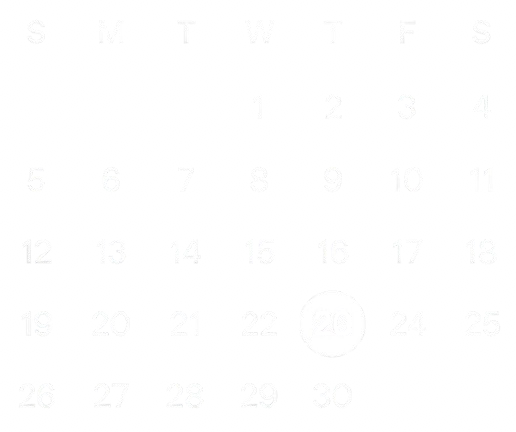 Saas Streamline Image